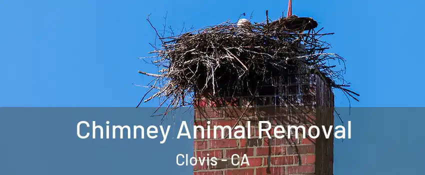  Chimney Animal Removal Clovis - CA
