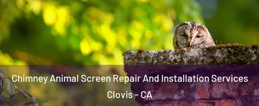  Chimney Animal Screen Repair And Installation Services Clovis - CA