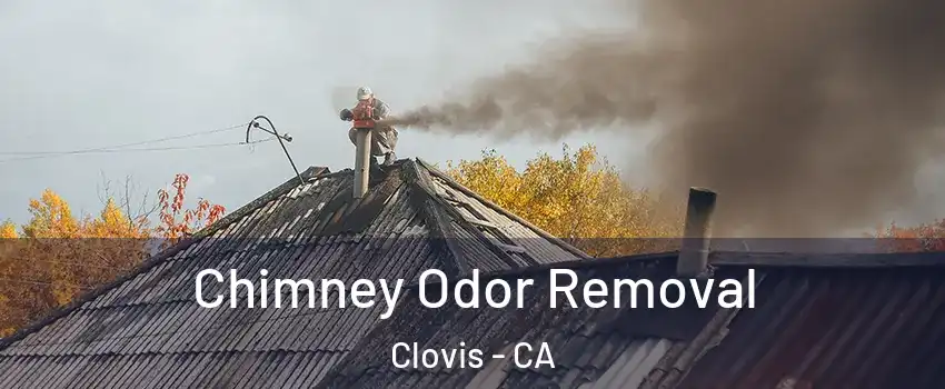  Chimney Odor Removal Clovis - CA