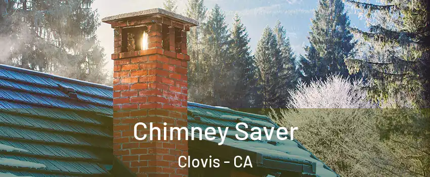  Chimney Saver Clovis - CA