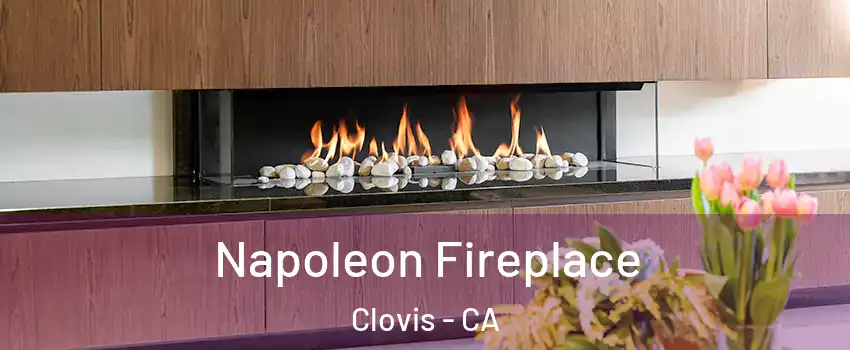  Napoleon Fireplace Clovis - CA