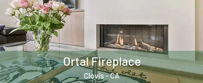  Ortal Fireplace Clovis - CA